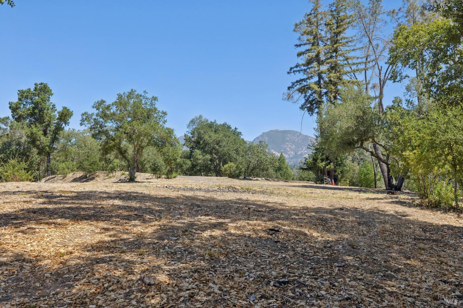 1128 Bennett Lane Calistoga CA 94515
