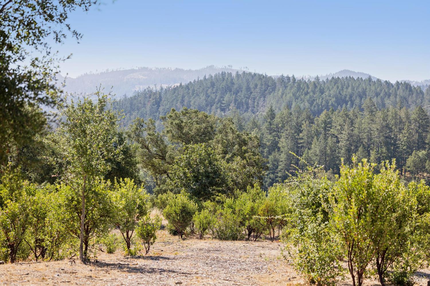 1128 Bennett Lane Calistoga CA 94515