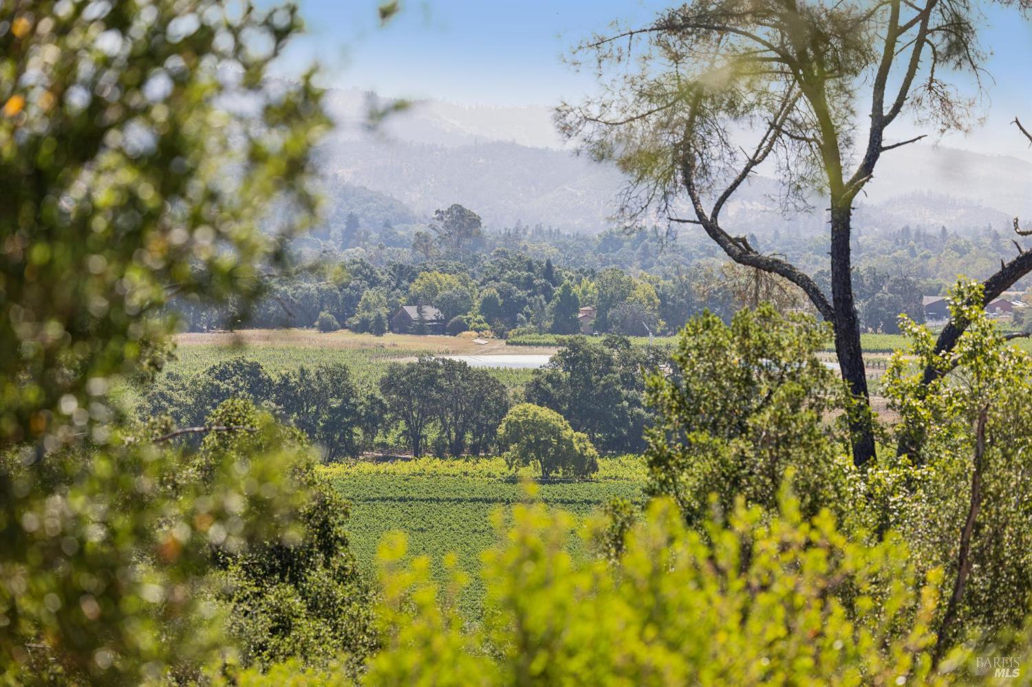 1128 Bennett Lane Calistoga CA 94515