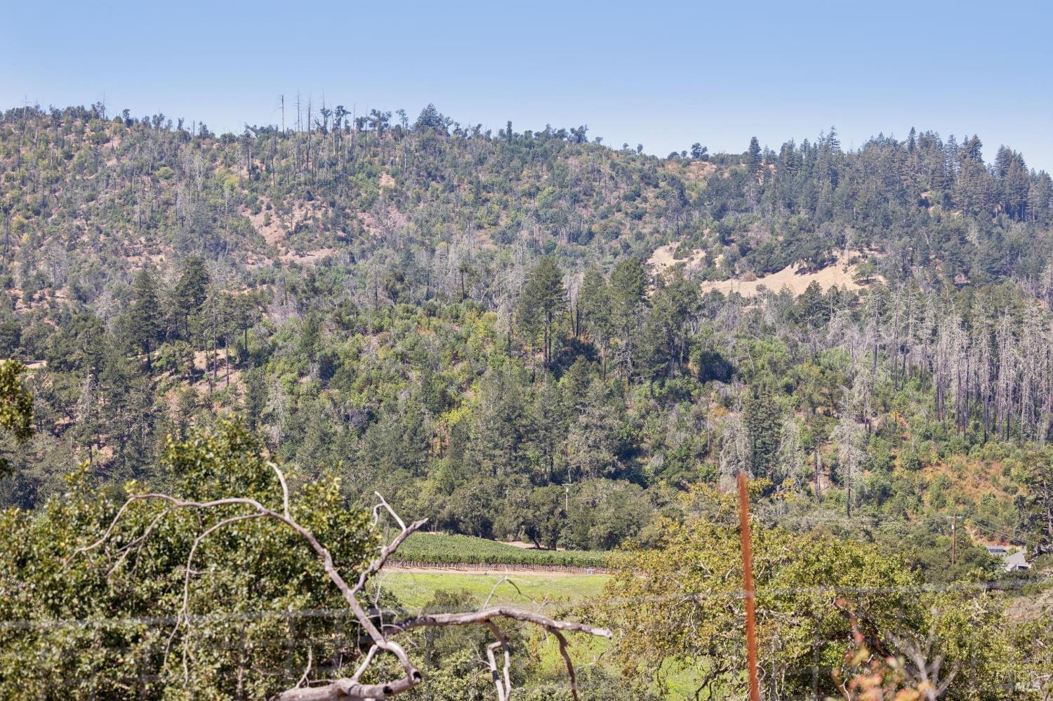 1128 Bennett Lane Calistoga CA 94515