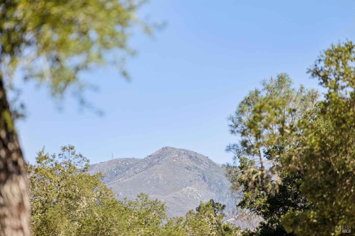 1128 Bennett Lane Calistoga CA 94515