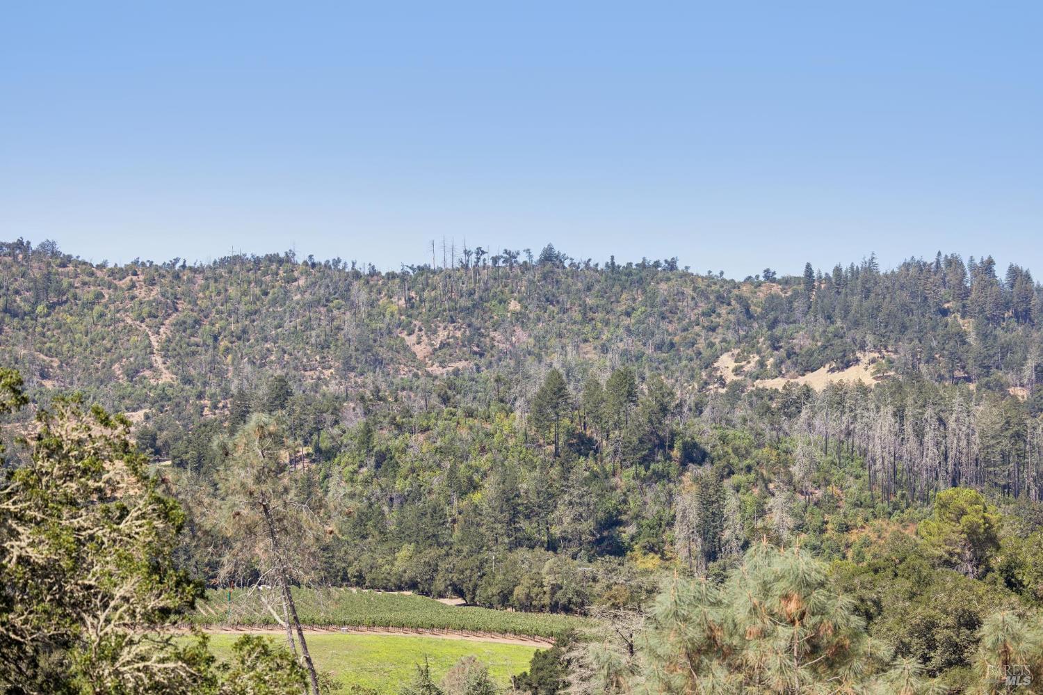 1128 Bennett Lane Calistoga CA 94515