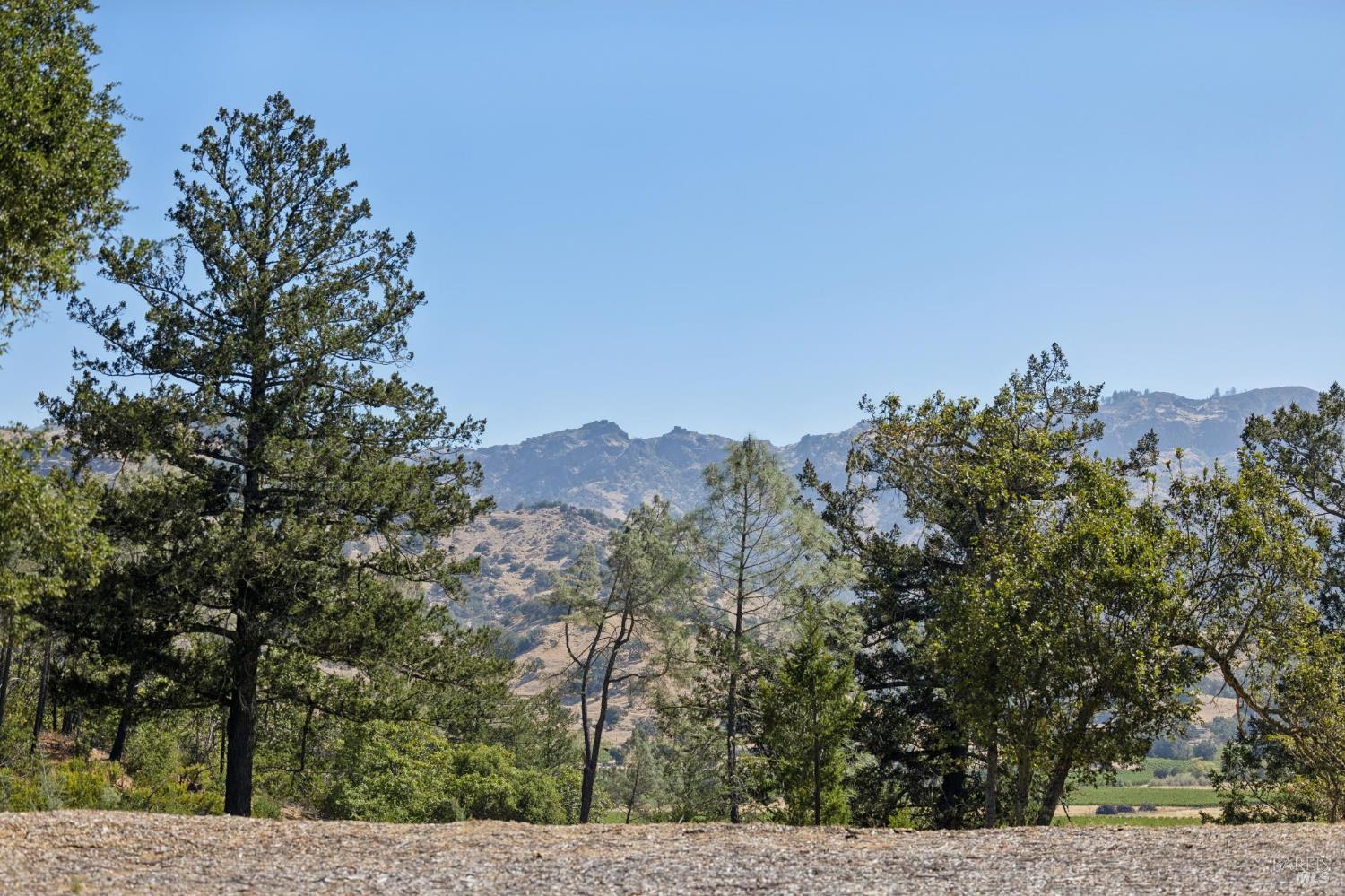 1128 Bennett Lane Calistoga CA 94515