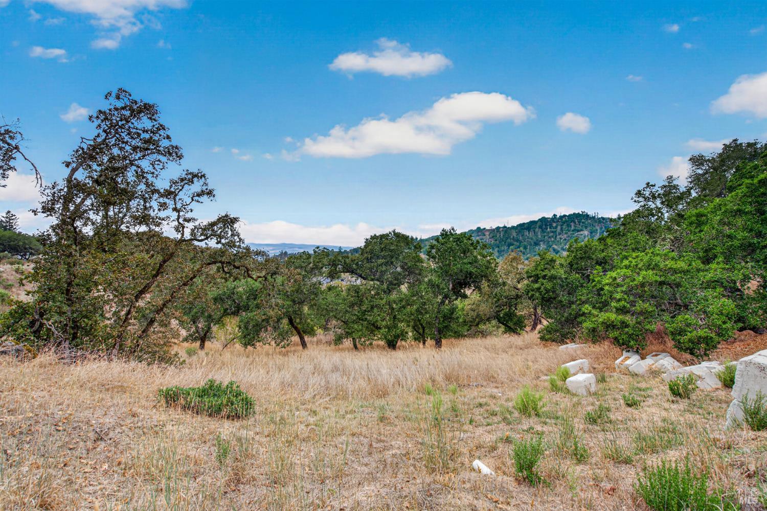 5251 Vista Grande Drive Santa Rosa CA 95403