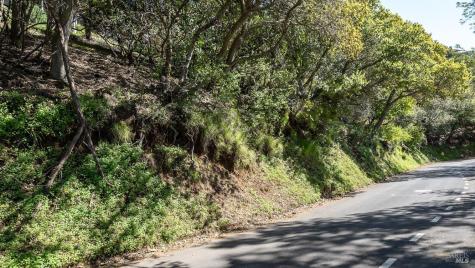 140 Belvedere Avenue Belvedere CA 94920