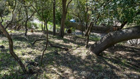 140 Belvedere Avenue Belvedere CA 94920