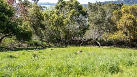 140 Belvedere Avenue Belvedere CA 94920