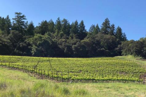 500 Artisan Circle Geyserville CA 95441