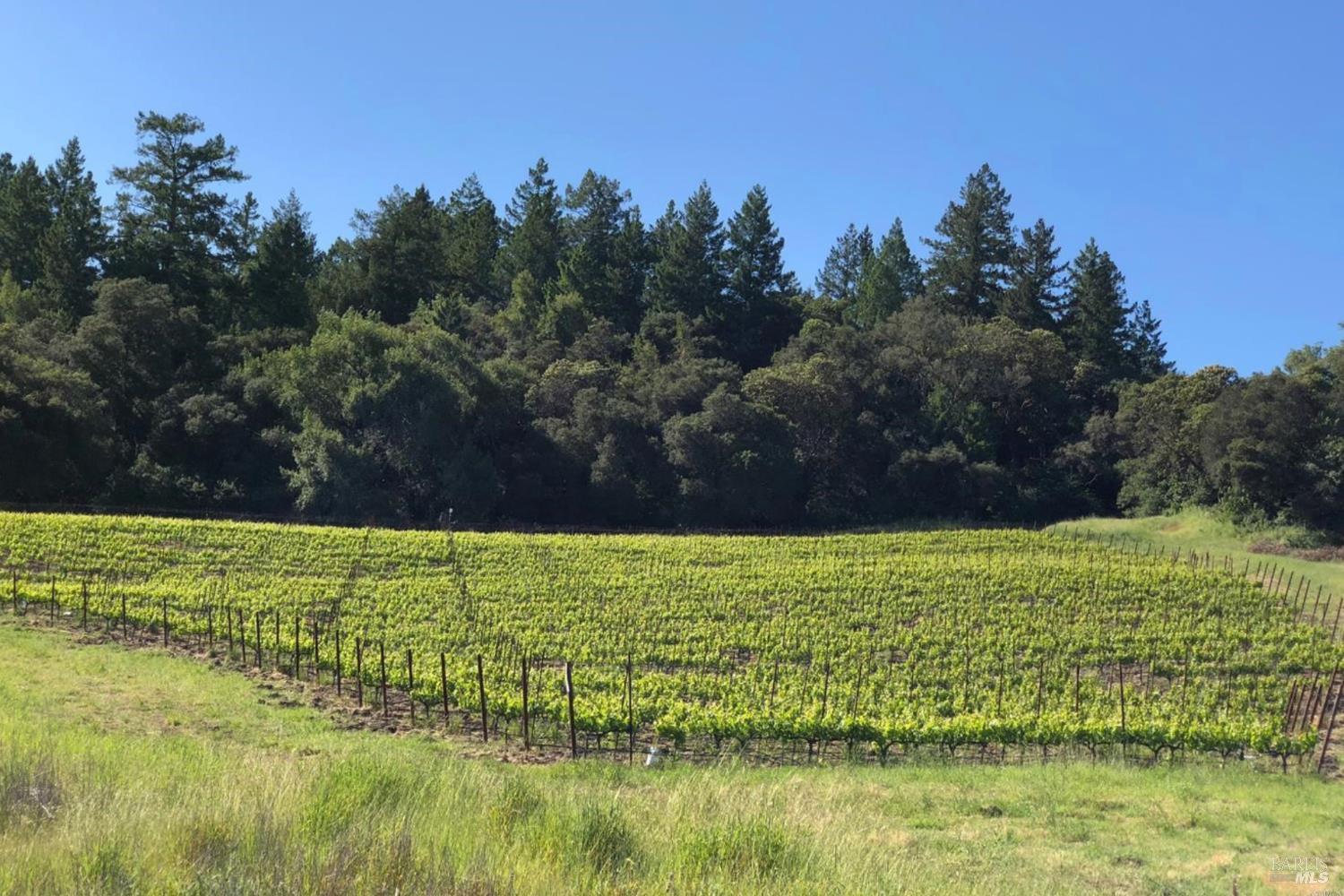 500 Artisan Circle Geyserville CA 95441
