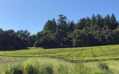 500 Artisan Circle Geyserville CA 95441