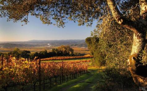 500 Artisan Circle Geyserville CA 95441