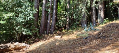 18355 Neeley Road Guerneville CA 95446