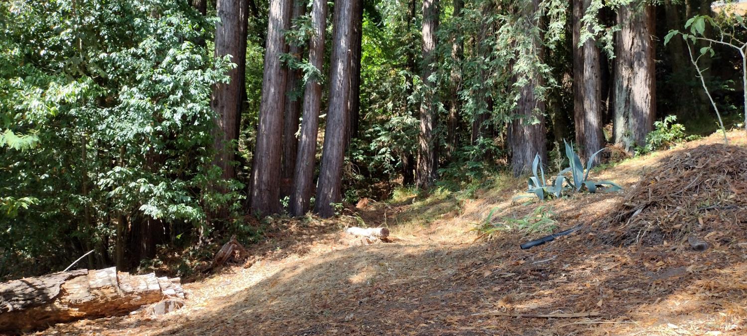 18355 Neeley Road Guerneville CA 95446