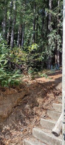 18355 Neeley Road Guerneville CA 95446