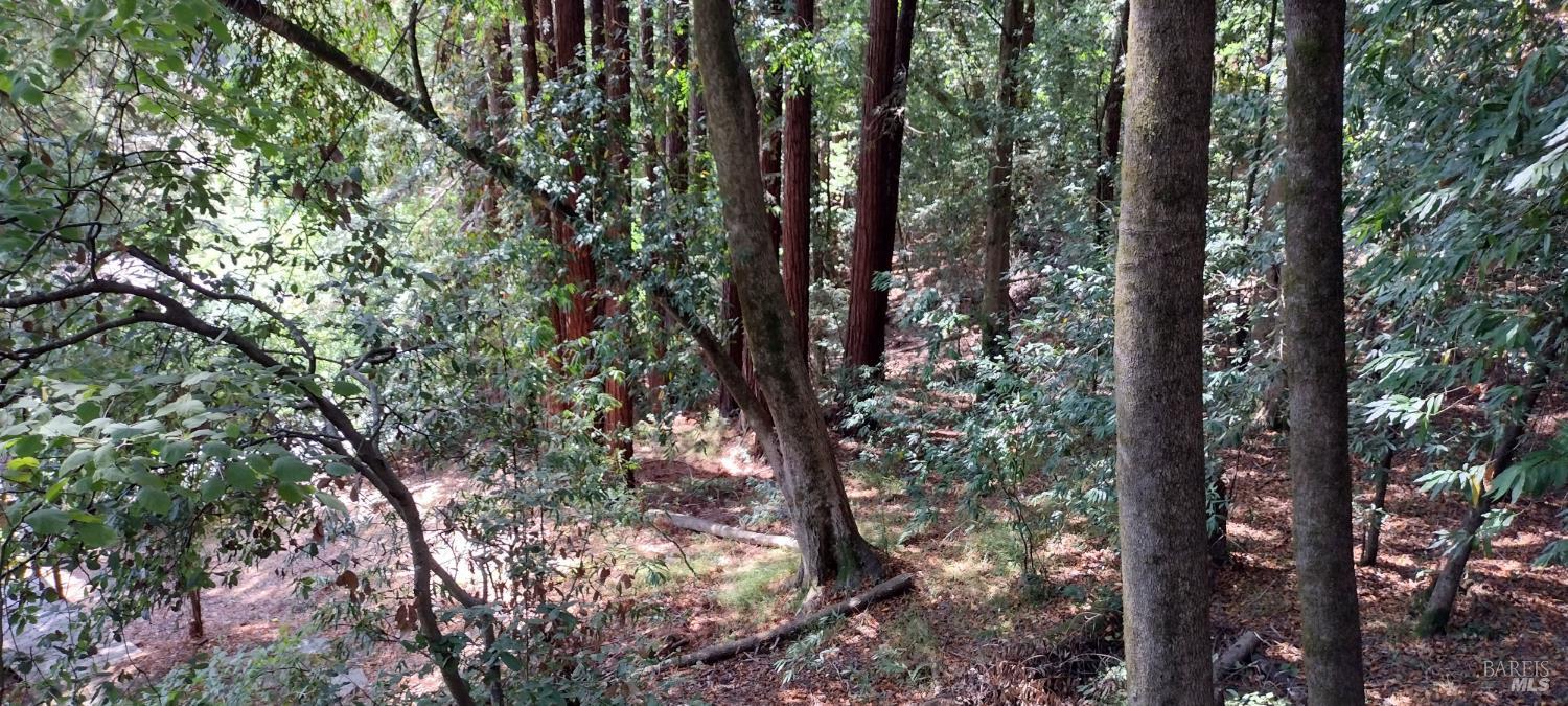 18355 Neeley Road Guerneville CA 95446