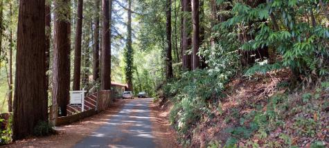 18355 Neeley Road Guerneville CA 95446