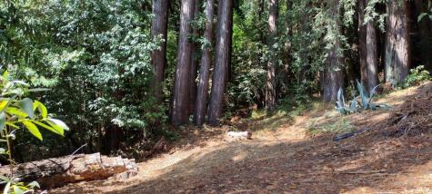 18355 Neeley Road Guerneville CA 95446