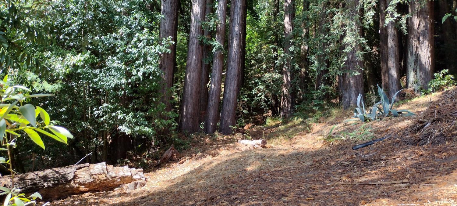 18355 Neeley Road Guerneville CA 95446