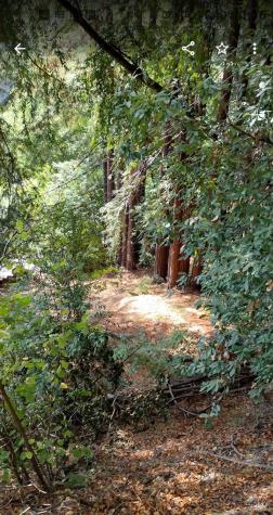 18355 Neeley Road Guerneville CA 95446