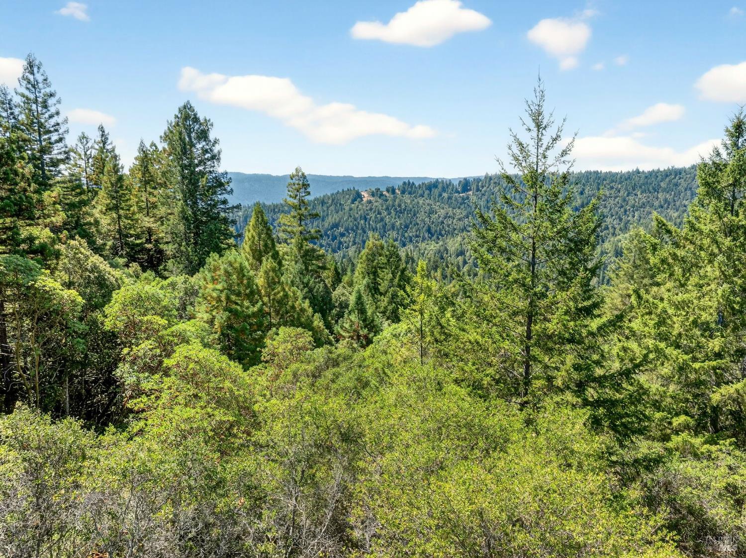 0 Moore Homestead Road Philo CA 95466