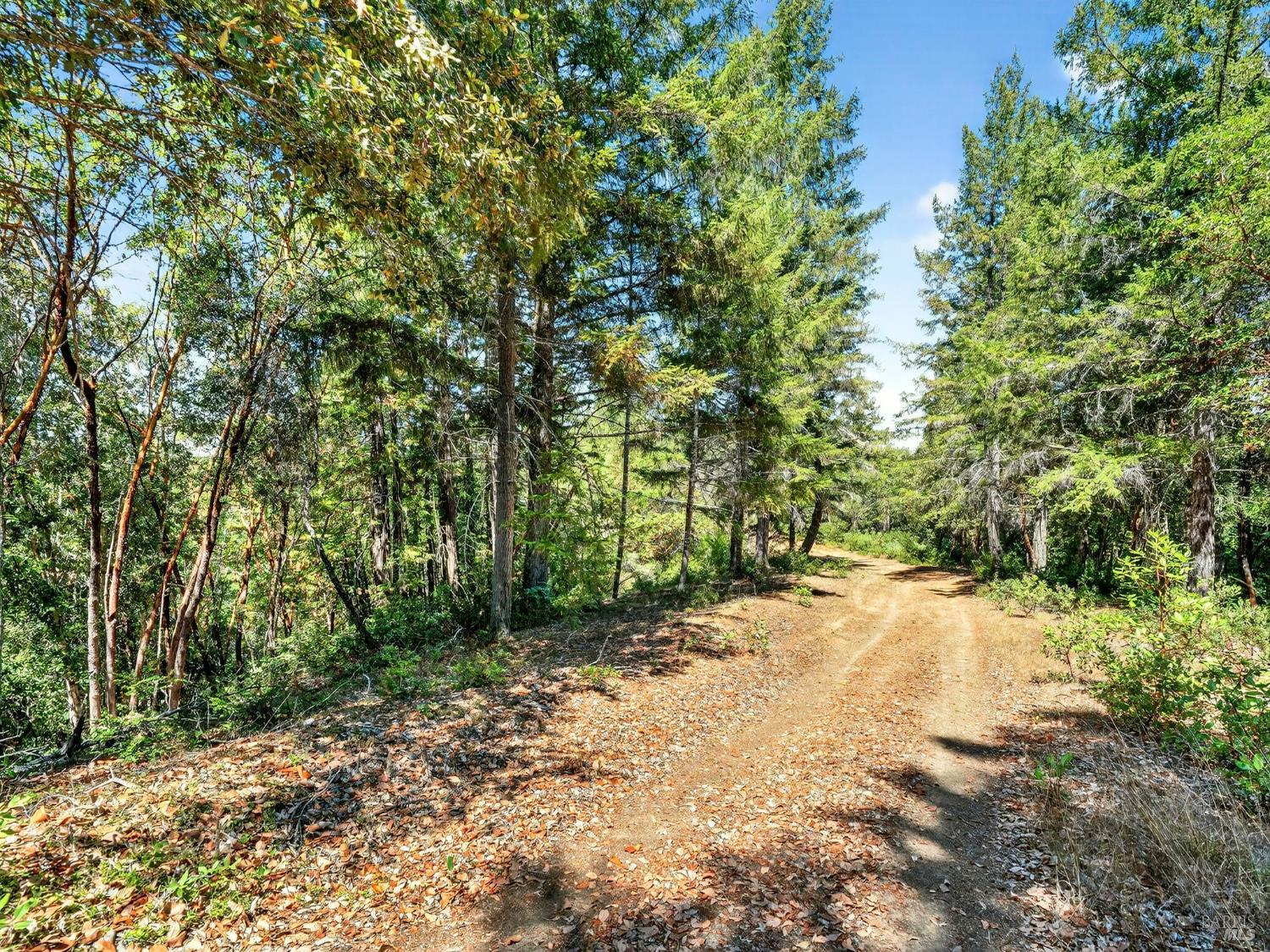 0 Moore Homestead Road Philo CA 95466