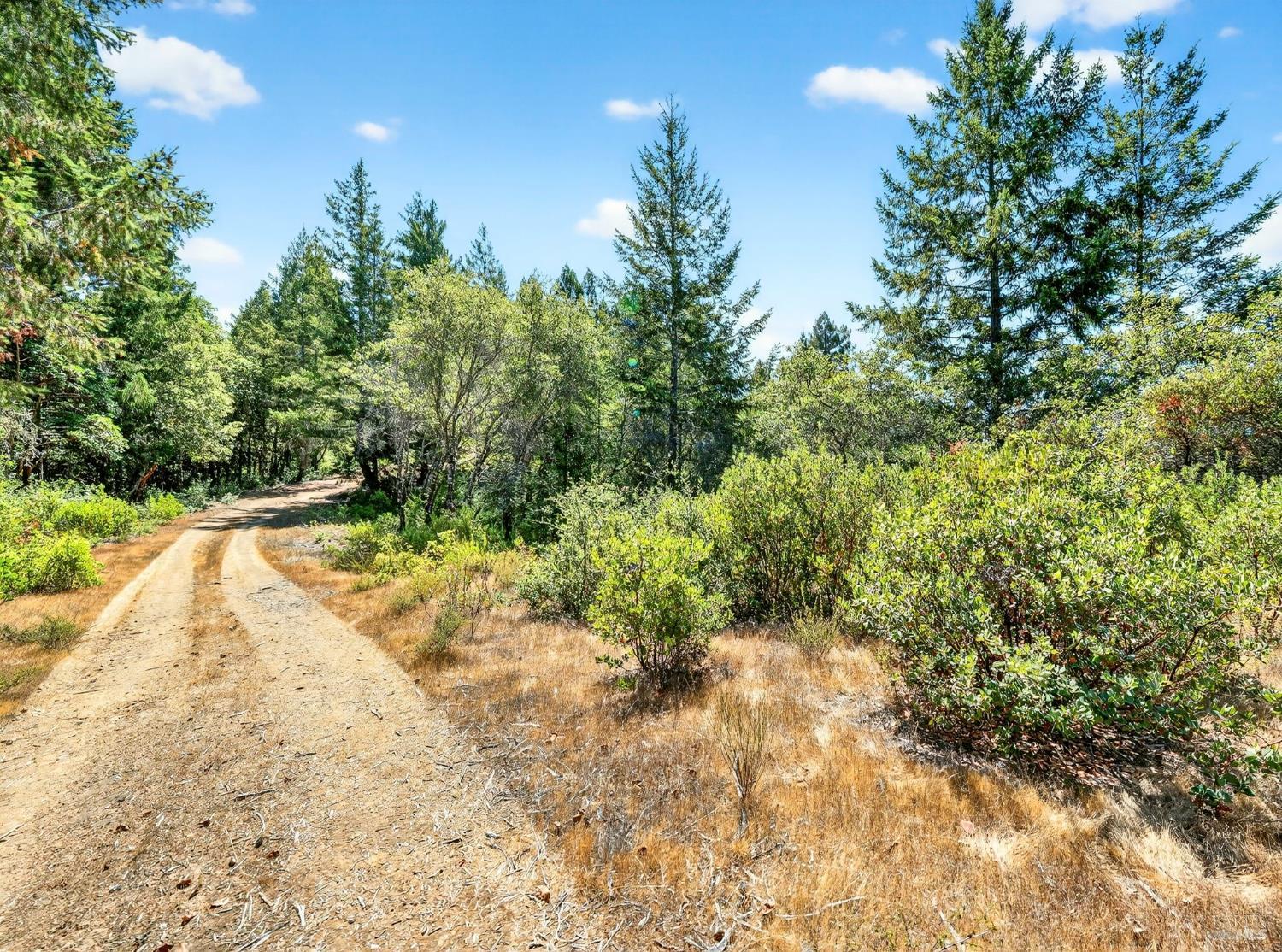 0 Moore Homestead Road Philo CA 95466