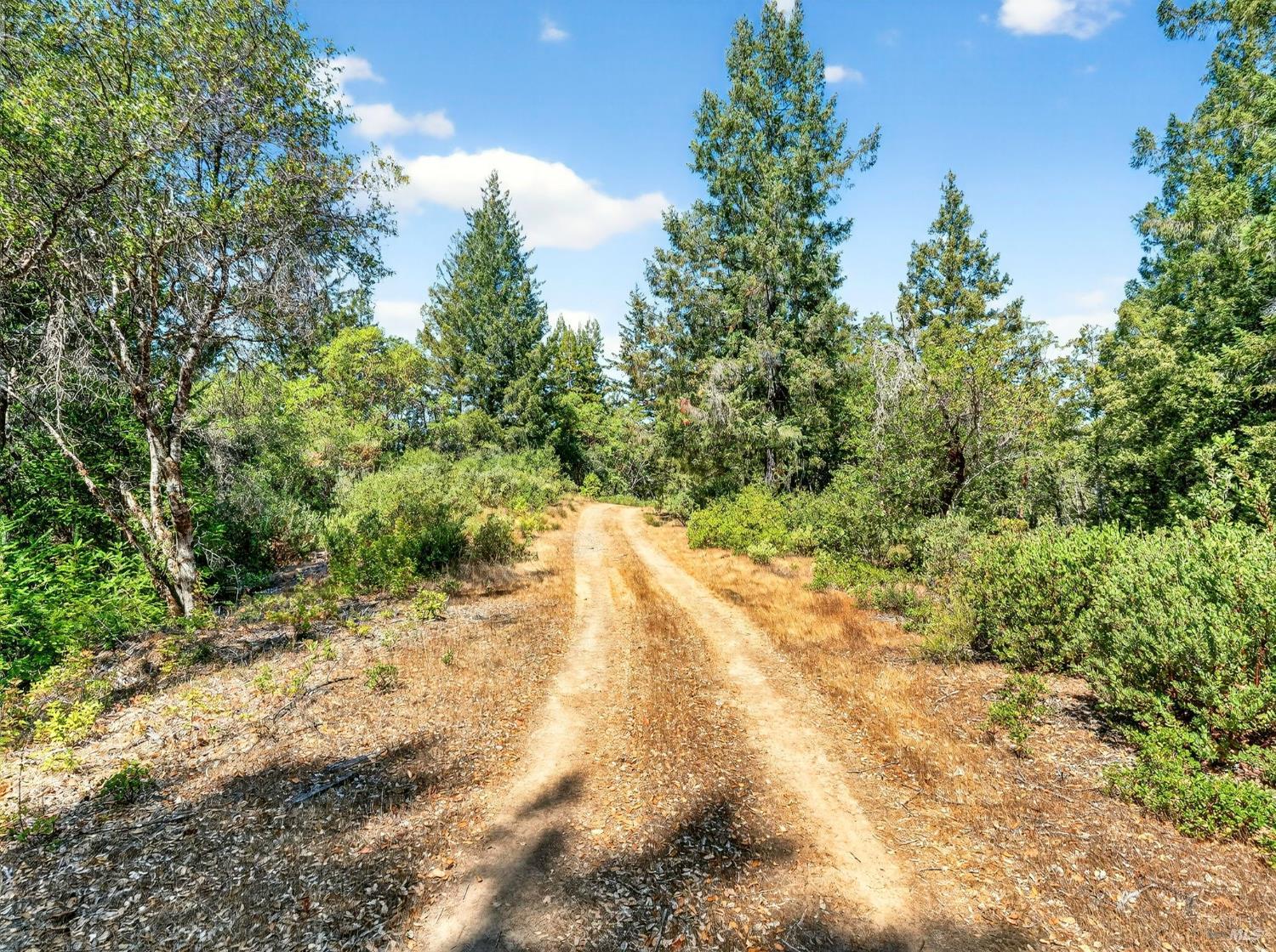0 Moore Homestead Road Philo CA 95466