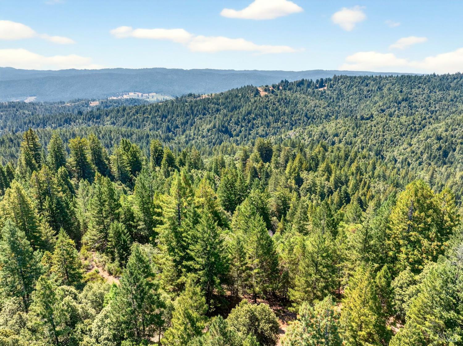 0 Moore Homestead Road Philo CA 95466