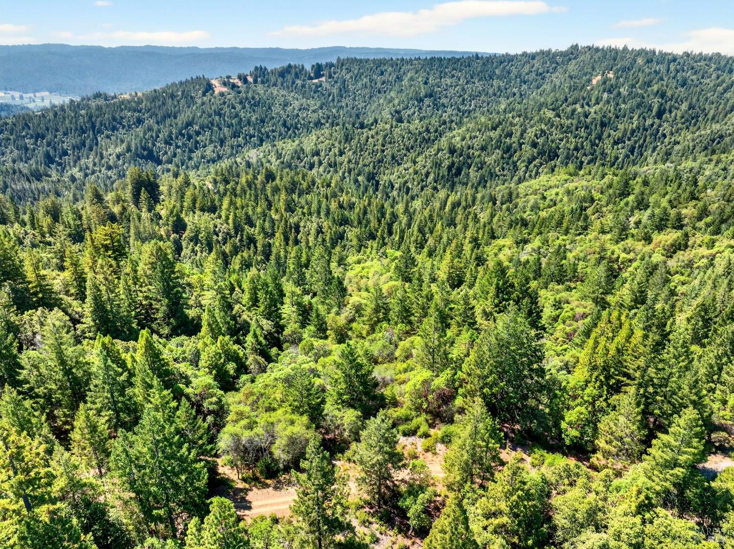 0 Moore Homestead Road Philo CA 95466