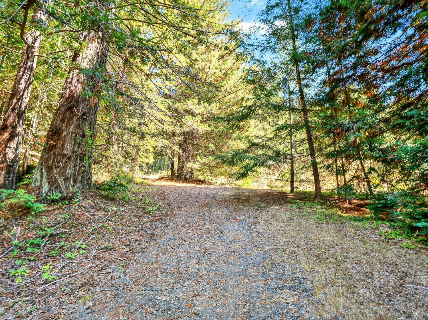 0 Moore Homestead Road Philo CA 95466