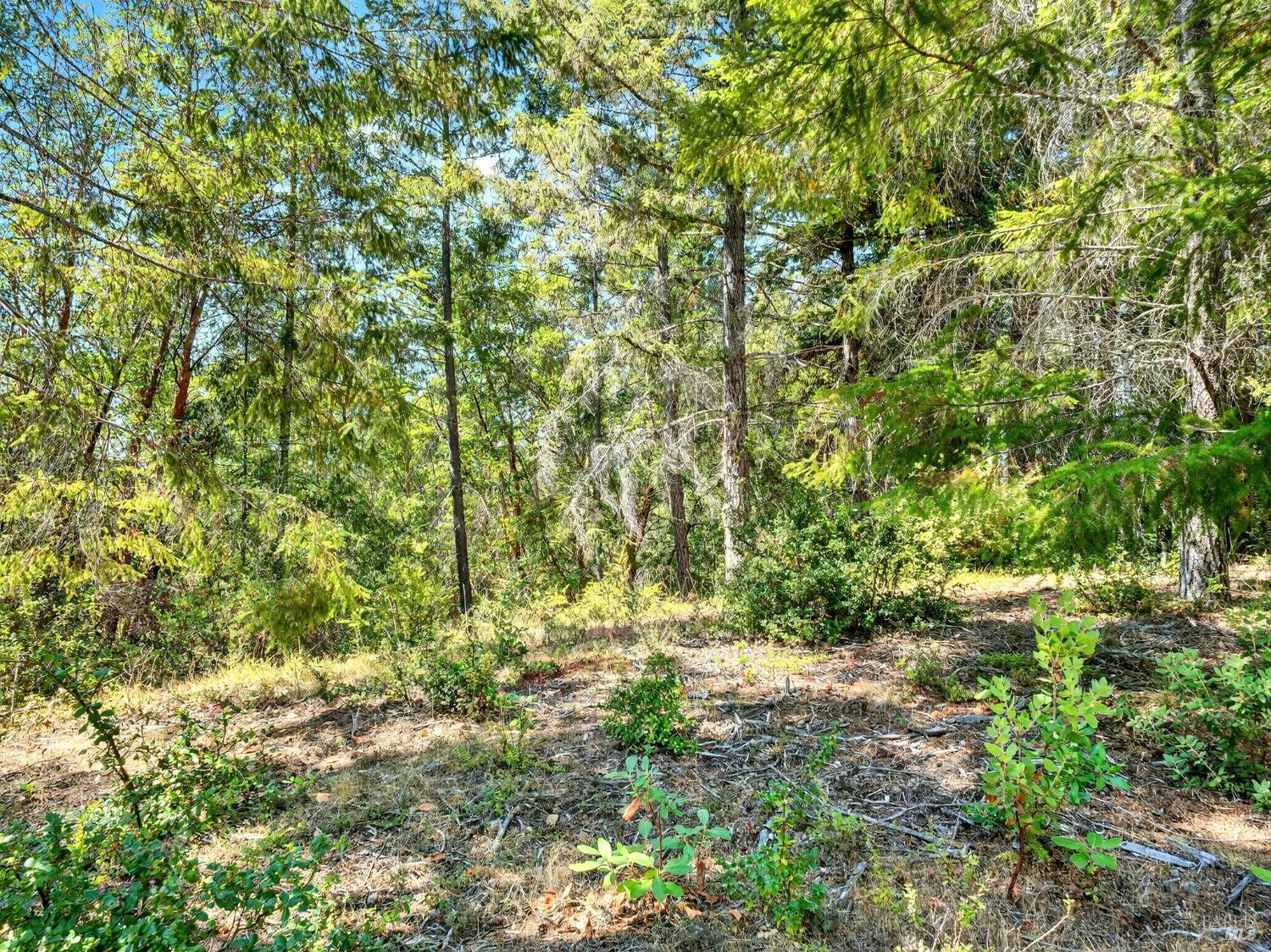 0 Moore Homestead Road Philo CA 95466