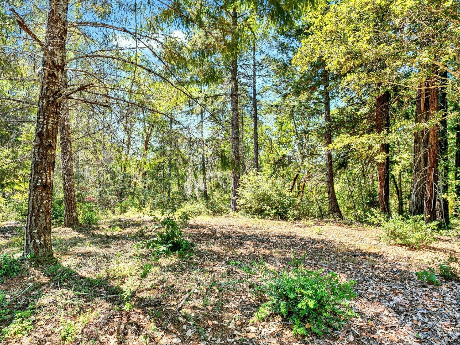 0 Moore Homestead Road Philo CA 95466