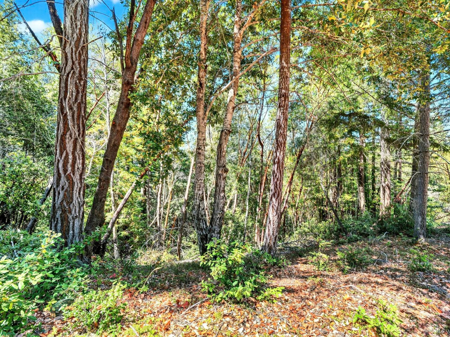 0 Moore Homestead Road Philo CA 95466