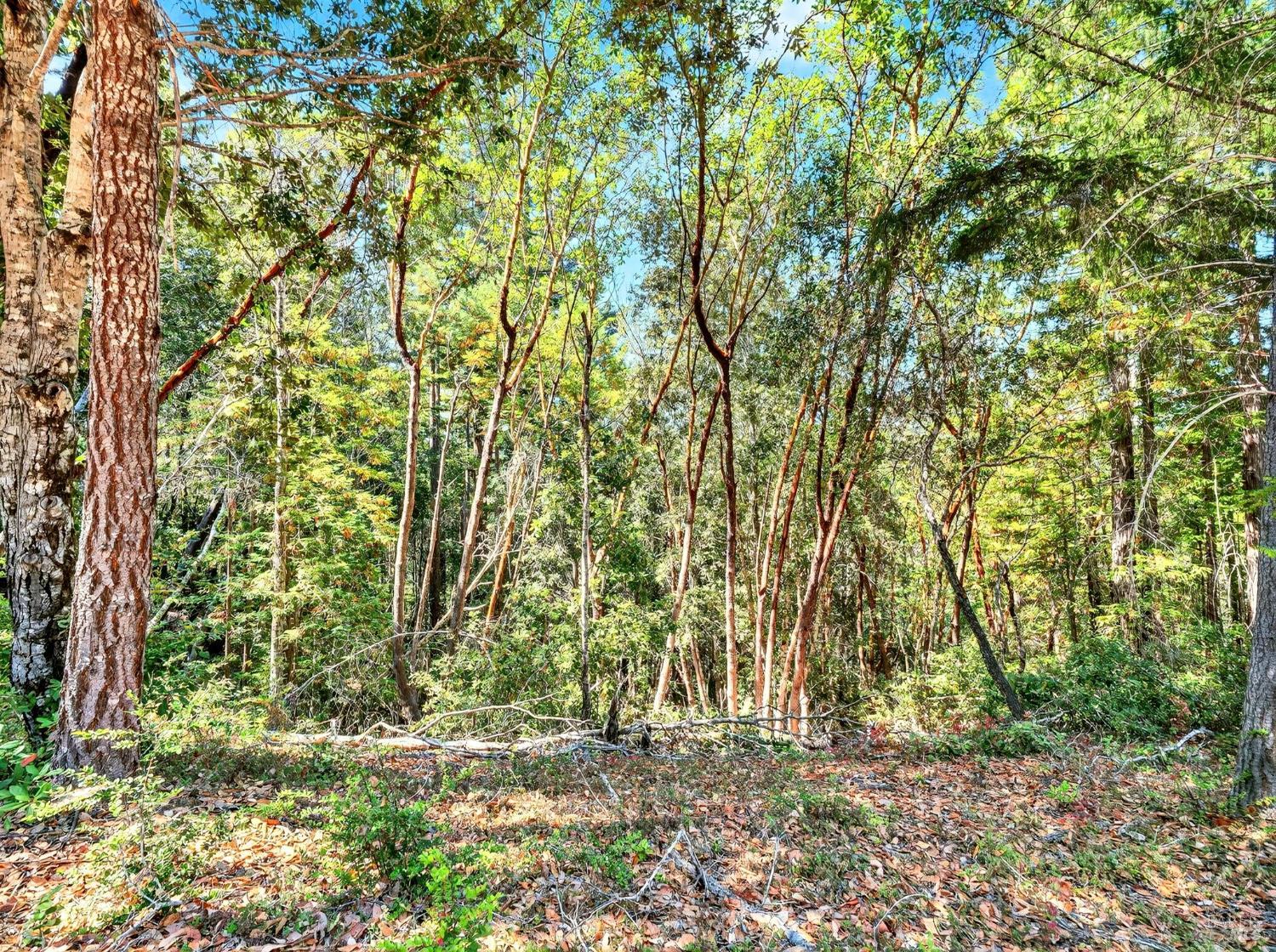 0 Moore Homestead Road Philo CA 95466