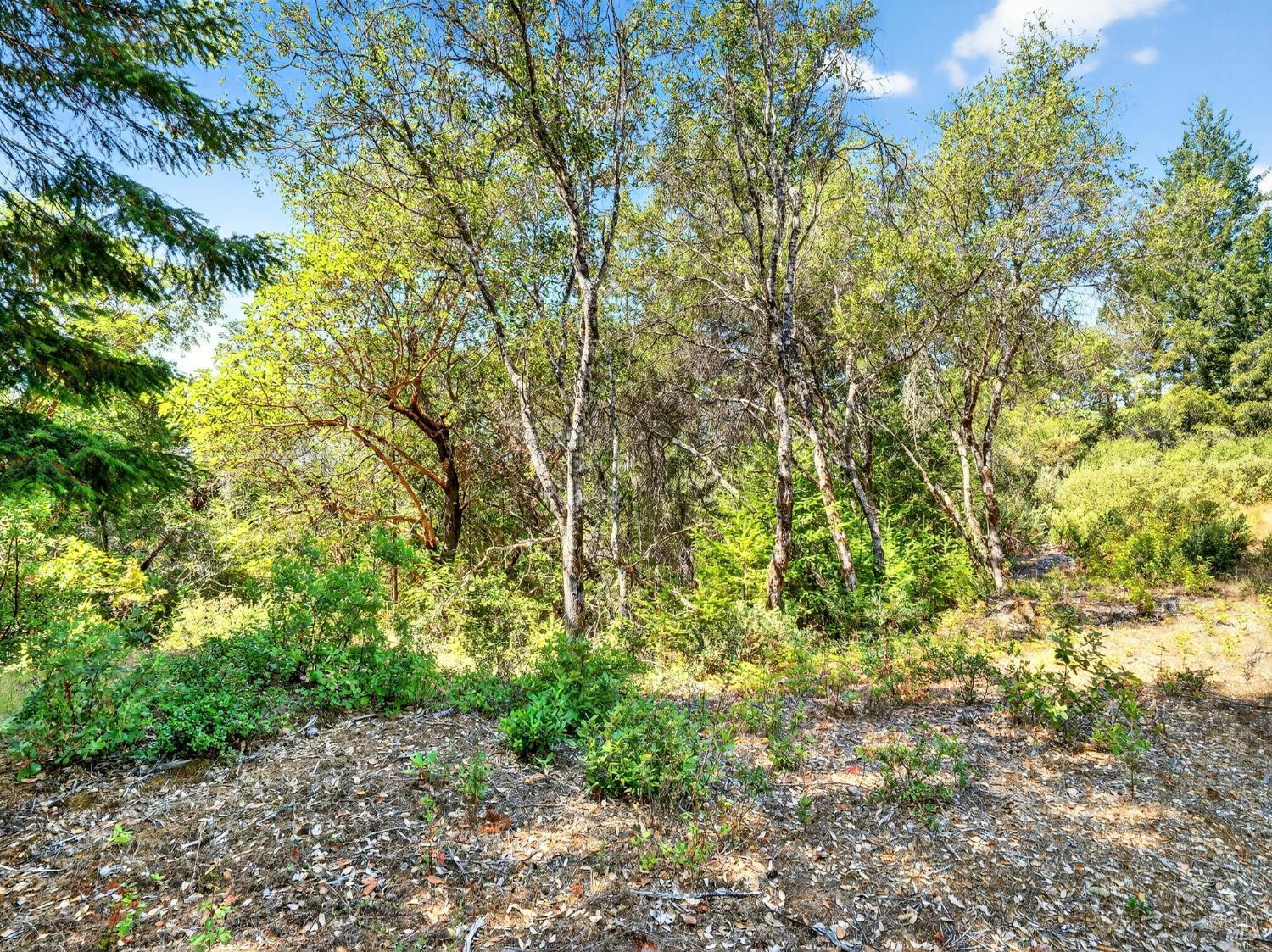 0 Moore Homestead Road Philo CA 95466