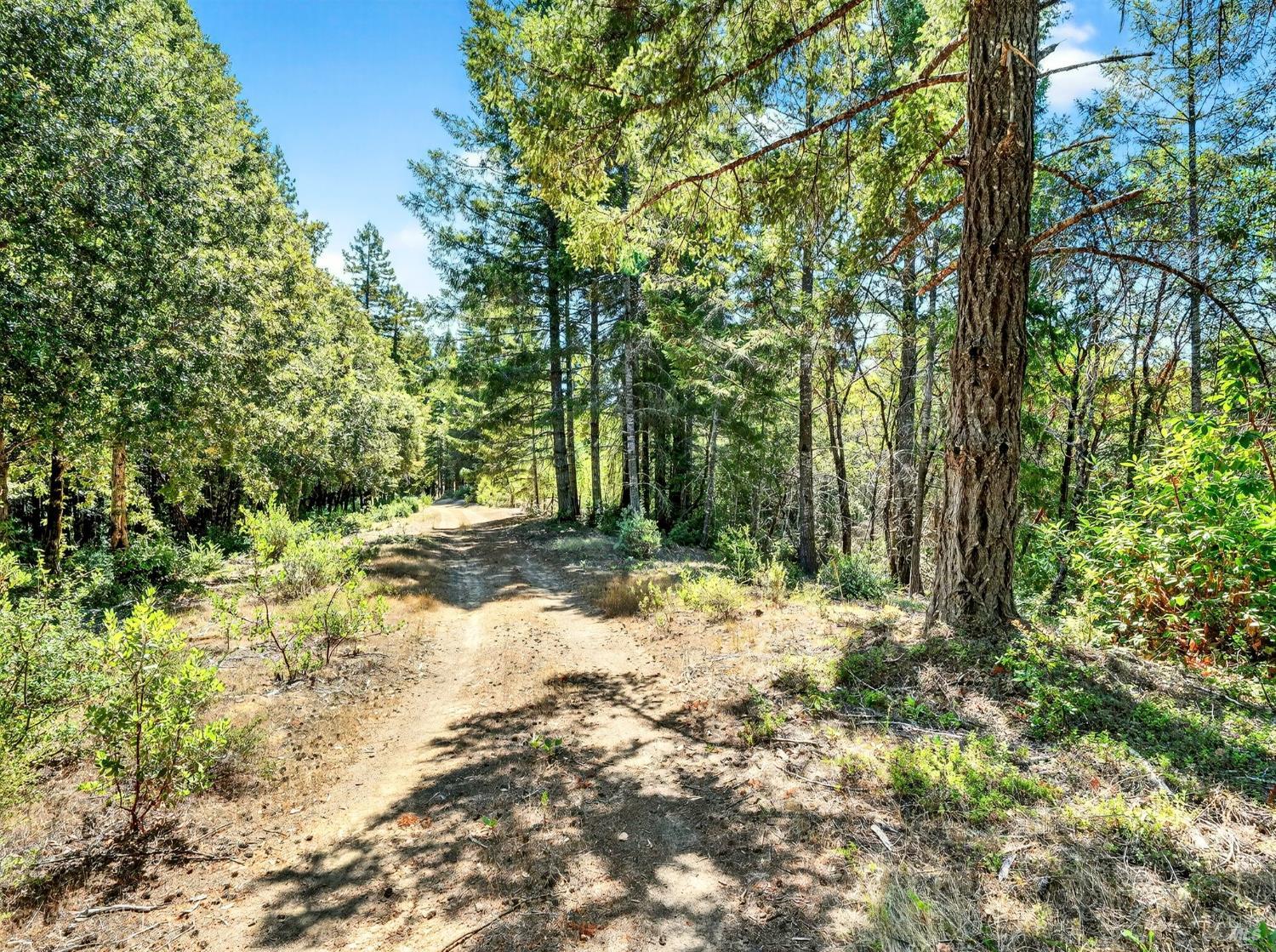 0 Moore Homestead Road Philo CA 95466