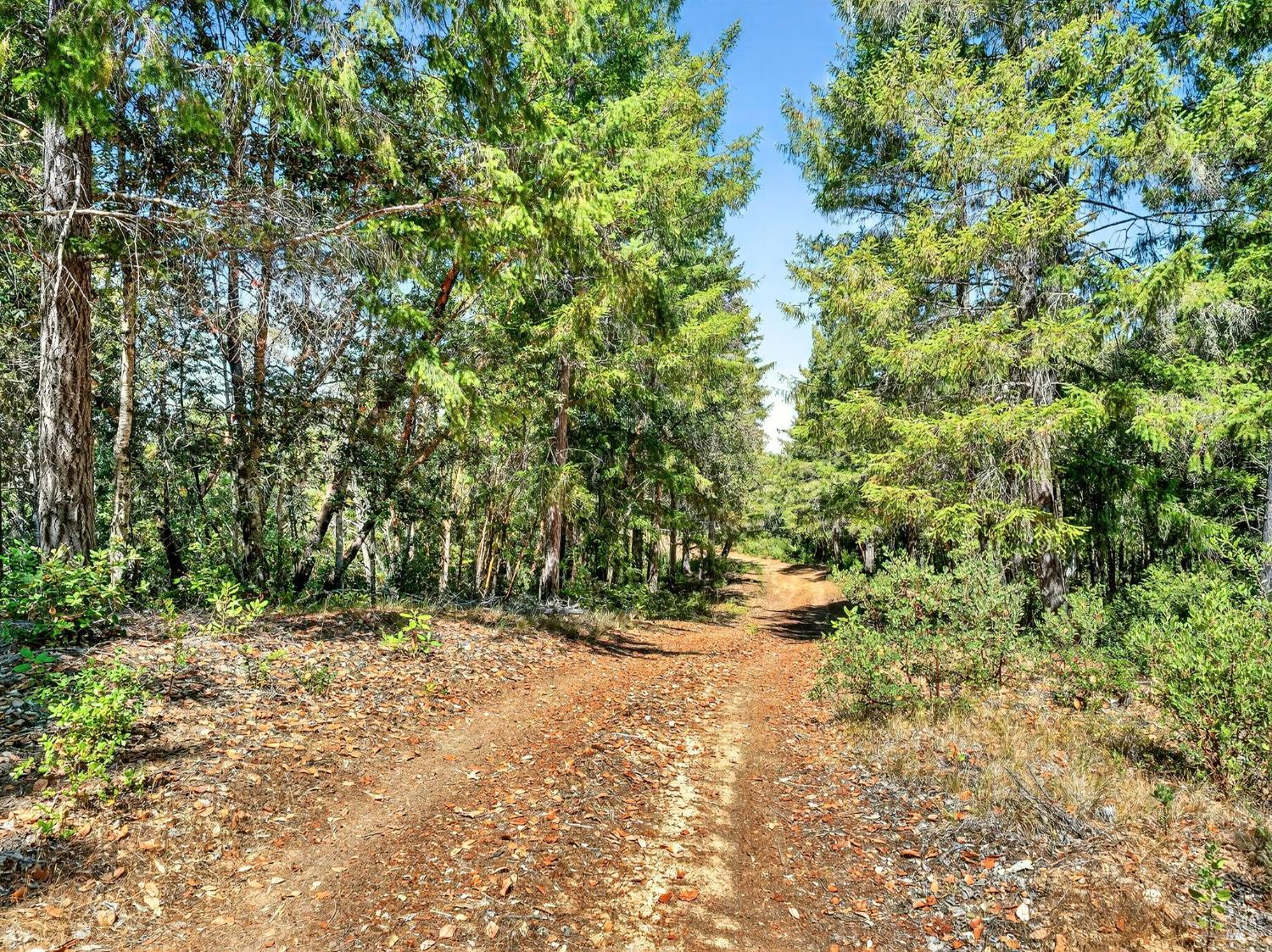 0 Moore Homestead Road Philo CA 95466