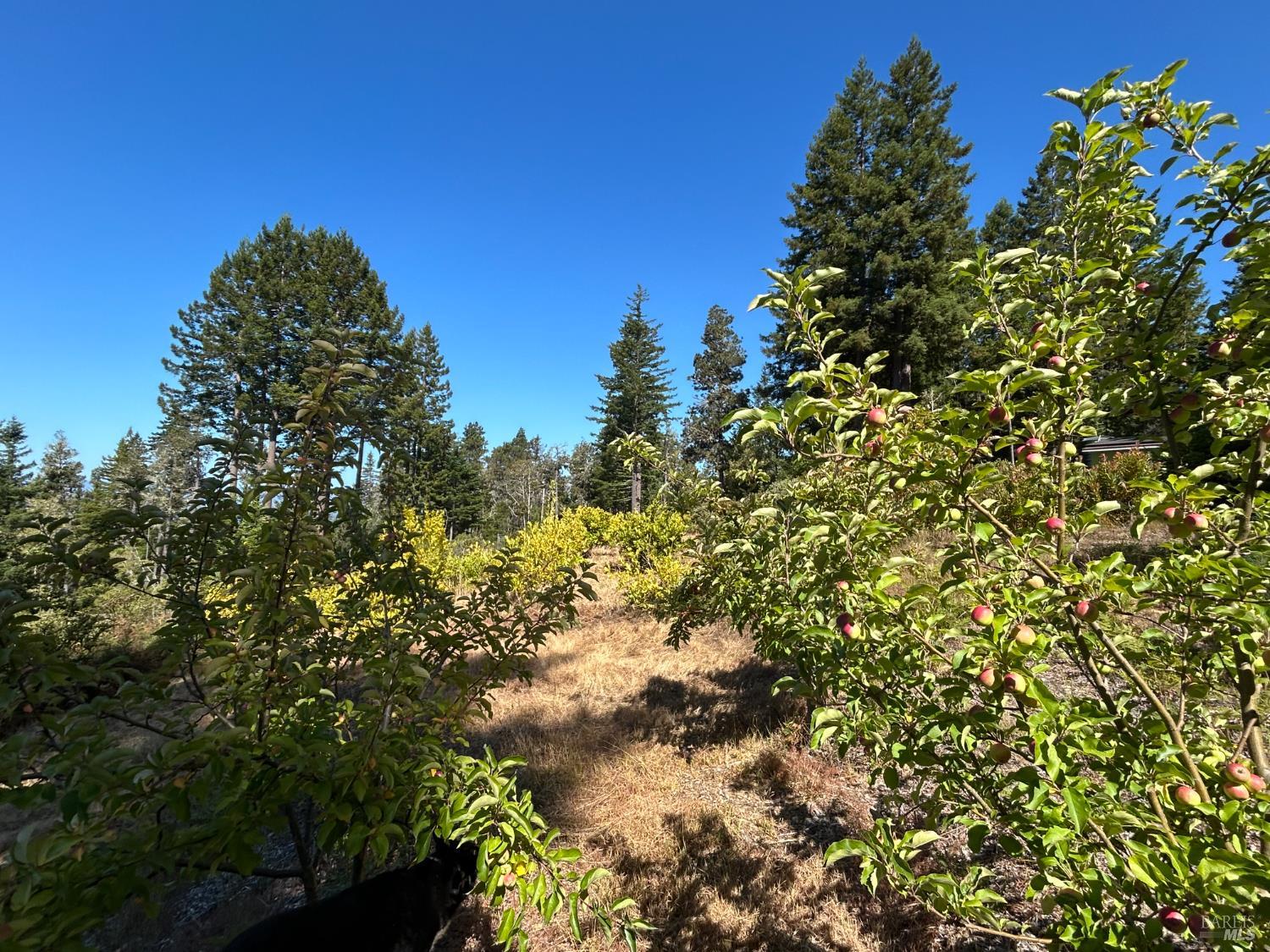 44035 Iversen Road Gualala CA 95445