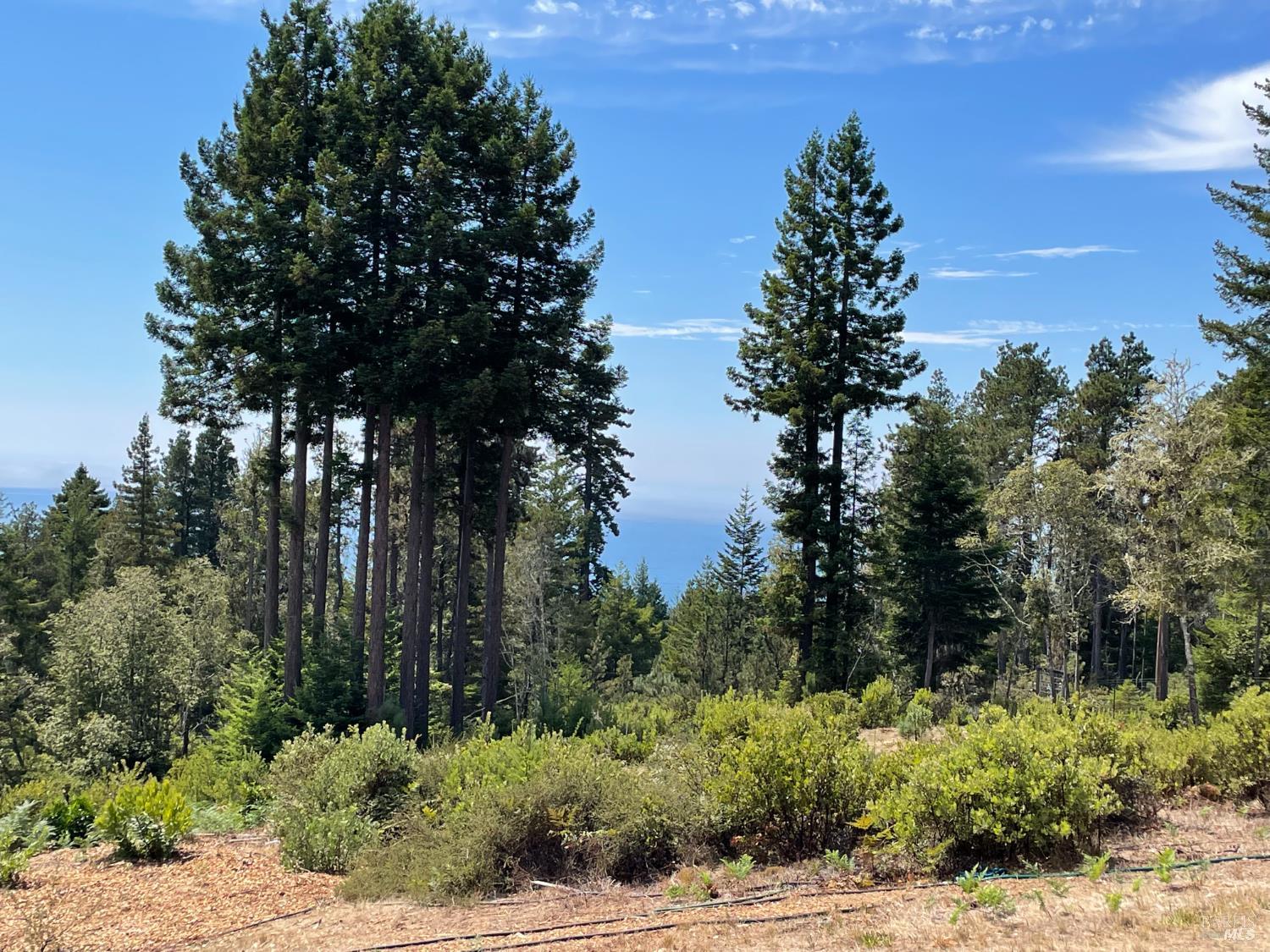 44035 Iversen Road Gualala CA 95445