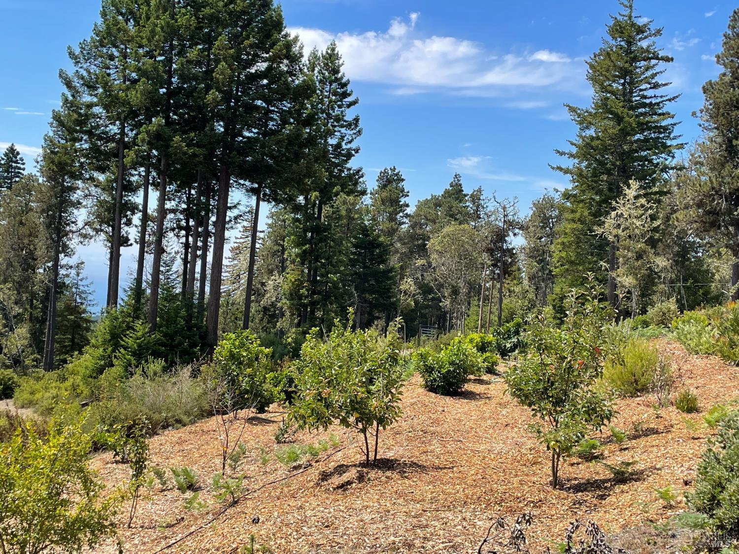 44035 Iversen Road Gualala CA 95445