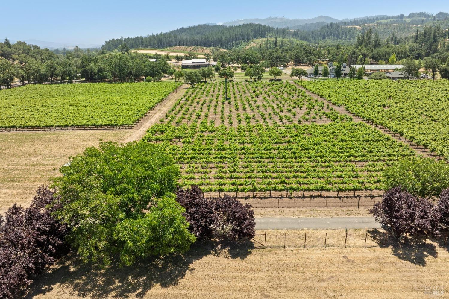 3567 State Highway 128 Calistoga CA 94515