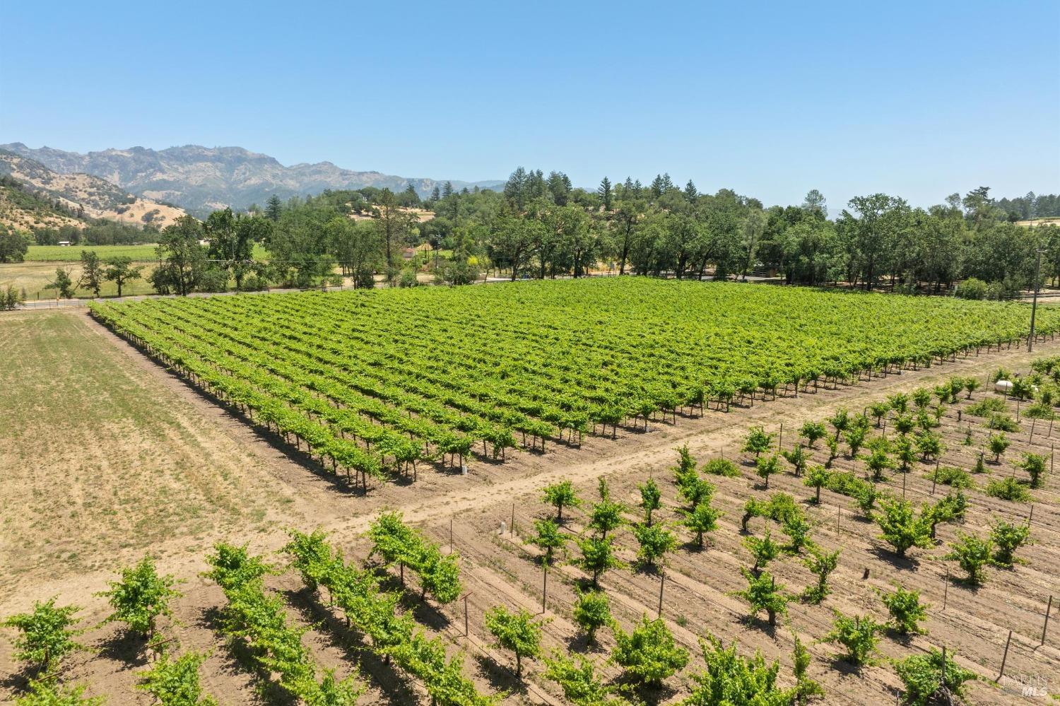 3567 State Highway 128 Calistoga CA 94515