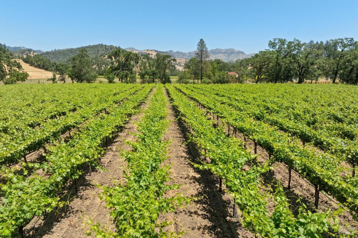 3567 State Highway 128 Calistoga CA 94515