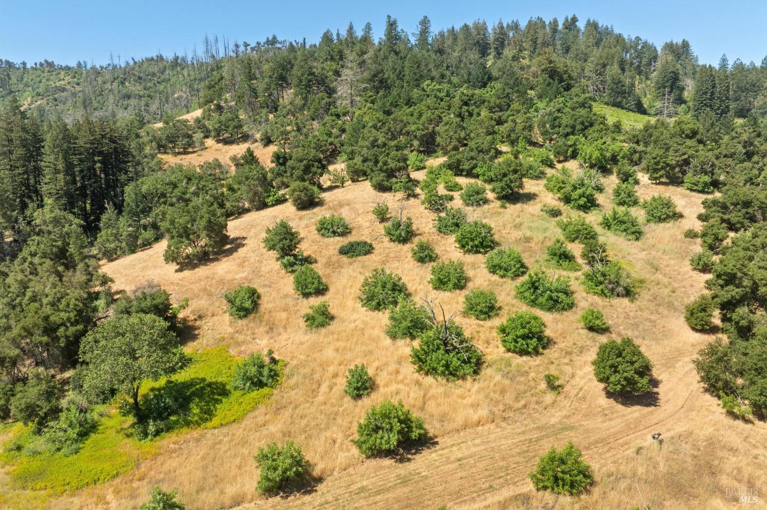3567 State Highway 128 Calistoga CA 94515