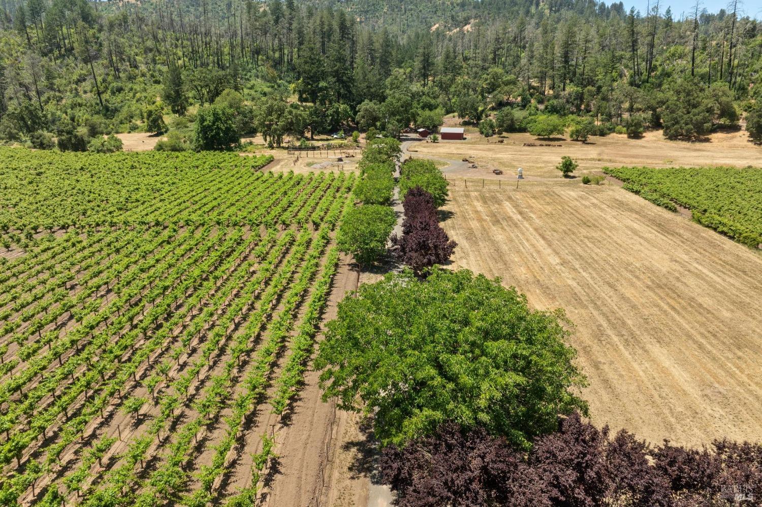 3567 State Highway 128 Calistoga CA 94515