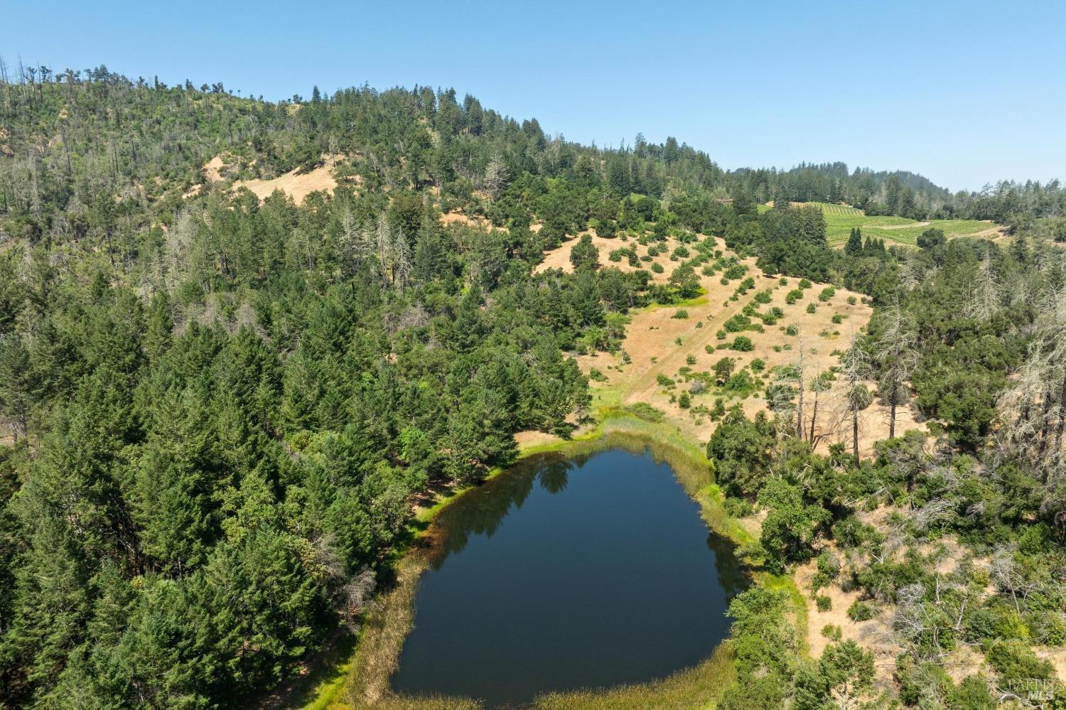 3567 State Highway 128 Calistoga CA 94515