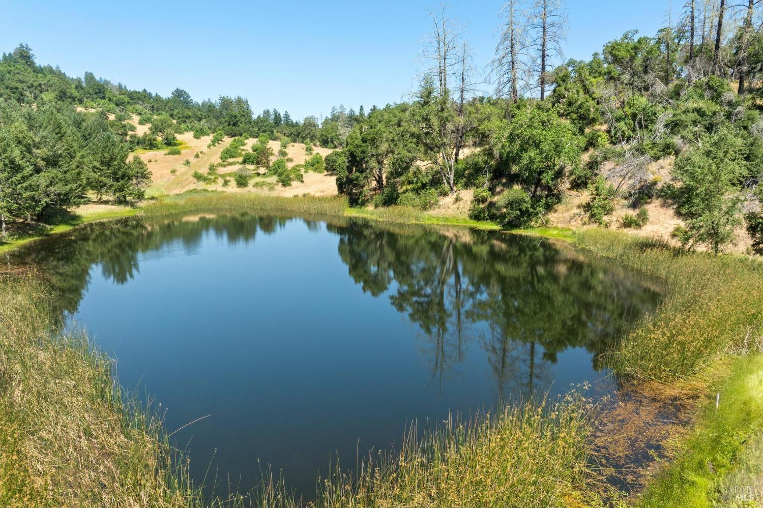 3567 State Highway 128 Calistoga CA 94515