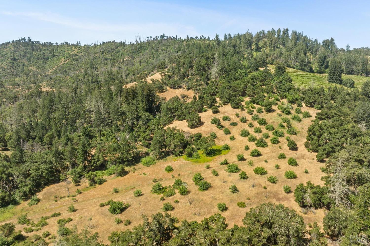 3567 State Highway 128 Calistoga CA 94515