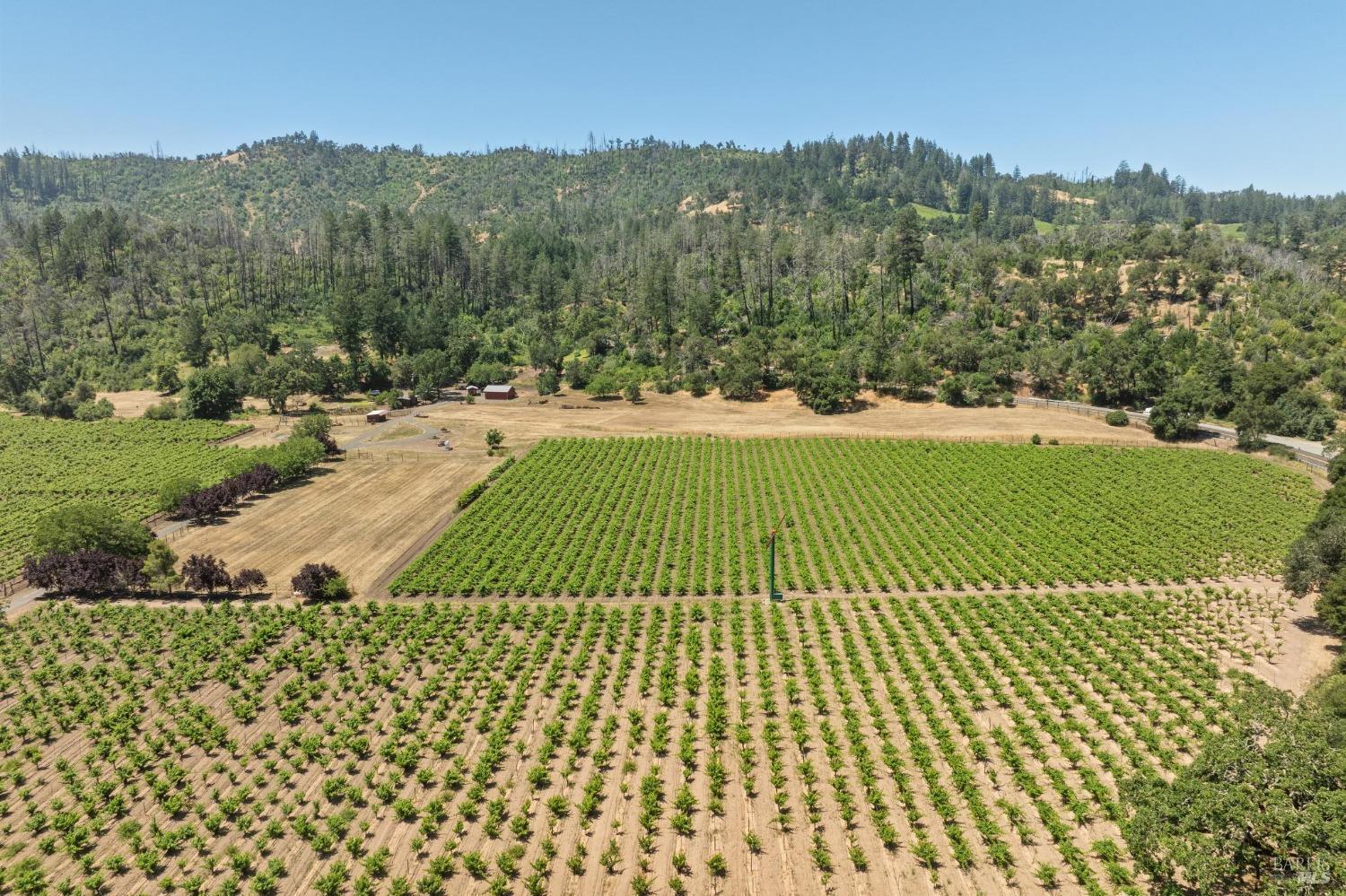 3567 State Highway 128 Calistoga CA 94515