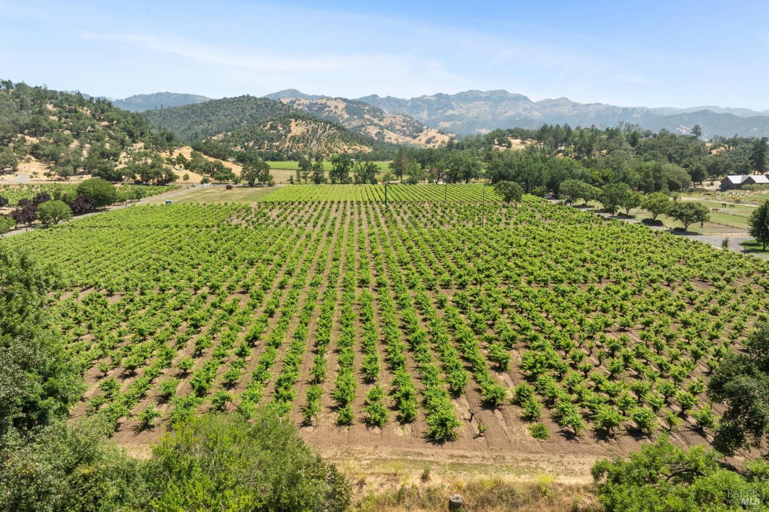 3567 State Highway 128 Calistoga CA 94515